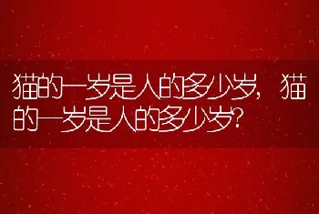 猫的一岁是人的多少岁，猫的一岁是人的多少岁？