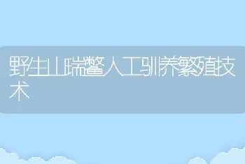 三疣梭子蟹甲壳溃疡病及防治办法