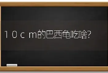 草龟皮上有很多小小的黑点？