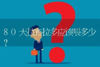 80天拉布拉多应该喂多少？