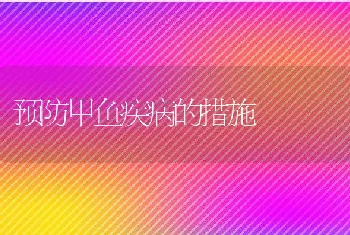 预防甲鱼疾病的措施