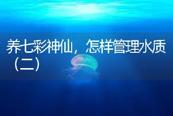 养七彩神仙，怎样管理水质（二）