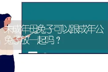 未成年母兔子可以跟成年公兔子放一起吗？