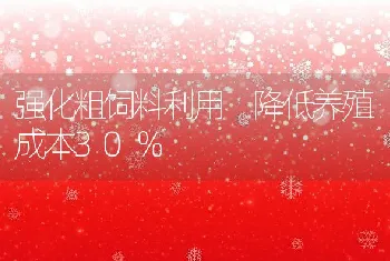 强化粗饲料利用降低养殖成本30％