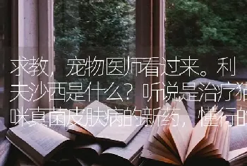 求教，宠物医师看过来。利夫沙西是什么？听说是治疗猫咪真菌皮肤病的新药，懂行的给说说怎么样？