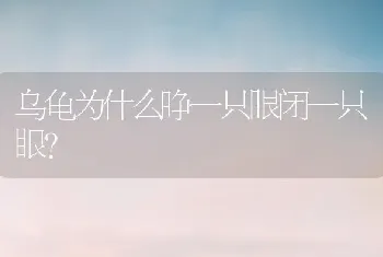 乌龟为什么睁一只眼闭一只眼？