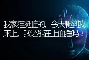 我家猫挺脏的，今天爬到我床上，我还能在上面睡吗？