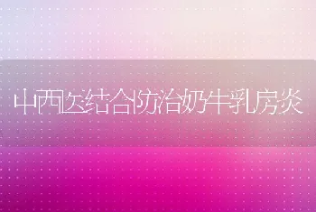 湖泊水库鲢鳙鱼无公害网箱养殖