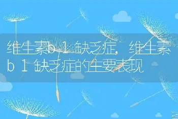 维生素b1缺乏症，维生素b1缺乏症的主要表现