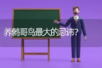 养鹩哥鸟最大的忌讳？