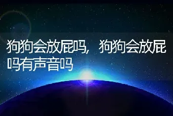 狗狗会放屁吗，狗狗会放屁吗有声音吗