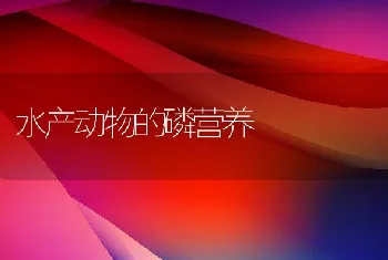 澳洲淡水龙虾养殖技术大全（下）