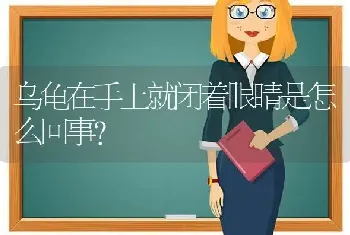 乌龟在手上就闭着眼睛是怎么回事？