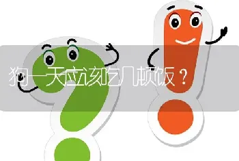 狗一天应该吃几顿饭？