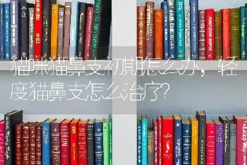 猫咪猫鼻支初期怎么办，轻度猫鼻支怎么治疗？