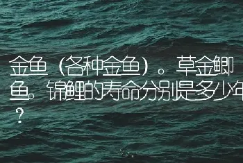 金鱼（各种金鱼）。草金鲫鱼。锦鲤的寿命分别是多少年？