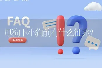 母狗下小狗前有什么征兆？