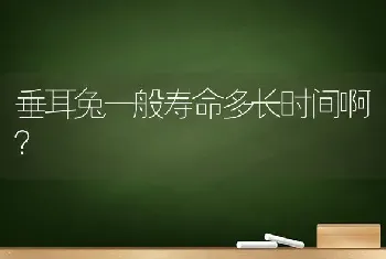 垂耳兔一般寿命多长时间啊？