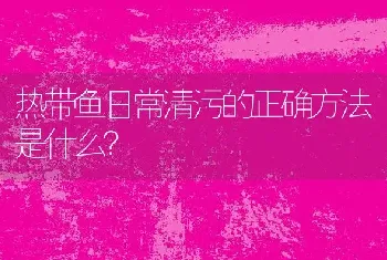 热带鱼日常清污的正确方法是什么？