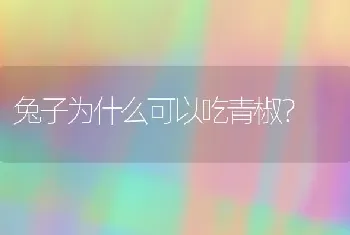 兔子为什么可以吃青椒？