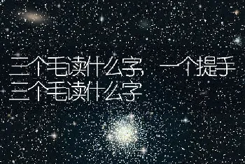 三个毛读什么字，一个提手三个毛读什么字