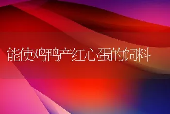 能使鸡鸭产红心蛋的饲料