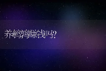 养鹌鹑赚钱吗？