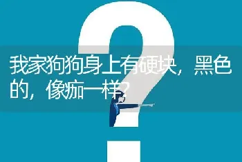 我家狗狗身上有硬块，黑色的，像痂一样？