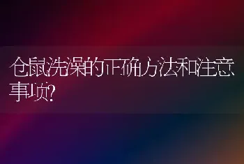 仓鼠洗澡的正确方法和注意事项？