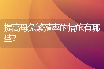 提高母兔繁殖率的措施有哪些？