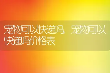 宠物可以快递吗，宠物可以快递吗价格表