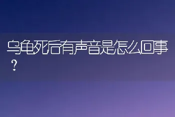 乌龟死后有声音是怎么回事？