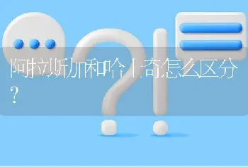 阿拉斯加和哈士奇怎么区分？