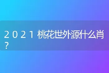 什么样的大型犬最好，最漂亮？