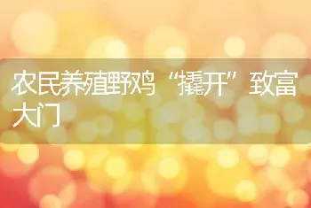农民养殖野鸡“撬开”致富大门