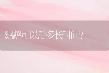 鹦鹉可以活多长时间？