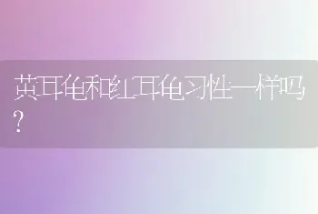 黄耳龟和红耳龟习性一样吗？