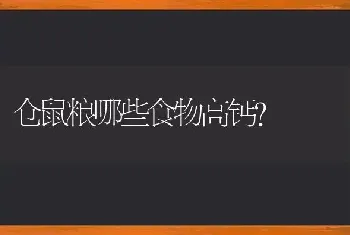 仓鼠粮哪些食物高钙？