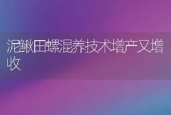 泥鳅田螺混养技术增产又增收