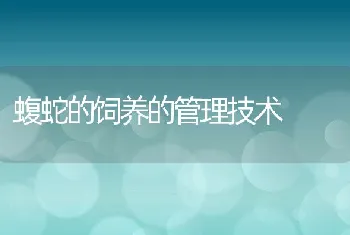 蝮蛇的饲养的管理技术