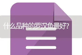 什么品种的罗汉鱼最好？