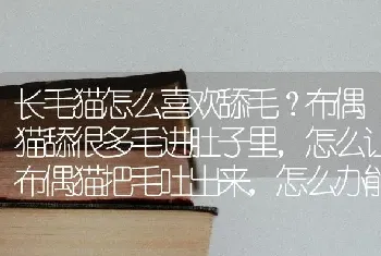 长毛猫怎么喜欢舔毛？布偶猫舔很多毛进肚子里，怎么让布偶猫把毛吐出来，怎么办能让猫咪吐出来？