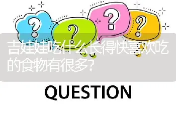 吉娃娃吃什么长得快喜欢吃的食物有很多？