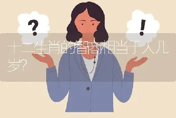 十二生肖的智商相当于人几岁？