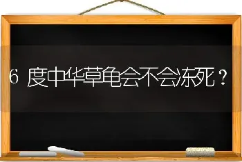 6度中华草龟会不会冻死？