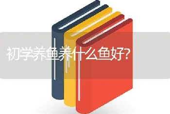 初学养鱼养什么鱼好？