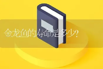 金龙鱼的寿命是多少？