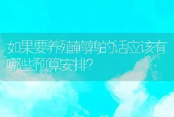 如果要养殖鹌鹑的话应该有哪些预算安排？