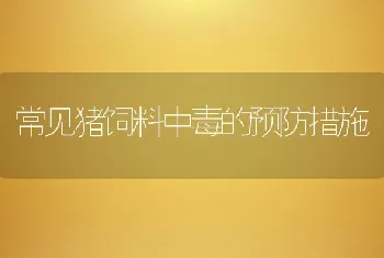 常见猪饲料中毒的预防措施