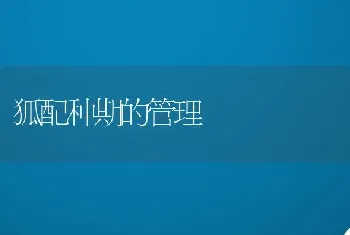 特种野猪人工授精技术